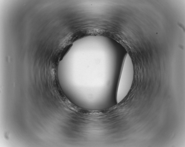 X0000094200716200710260912
