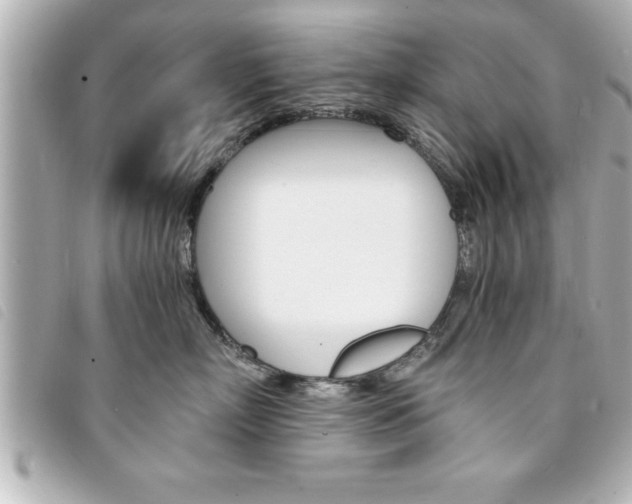 X0000094200718200710260912