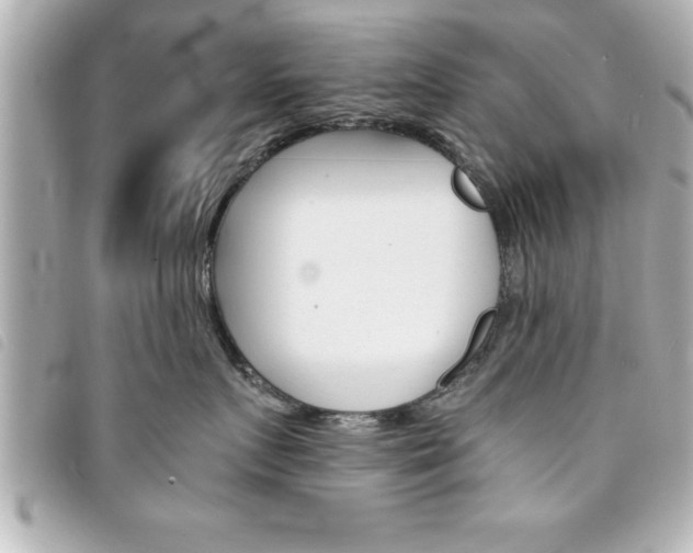 X0000094200719200710260912