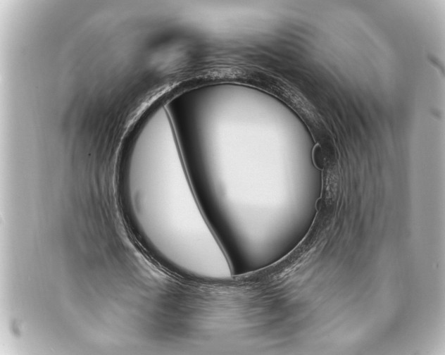 X0000094200722200710260912