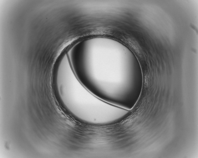 X0000094200724200710260912