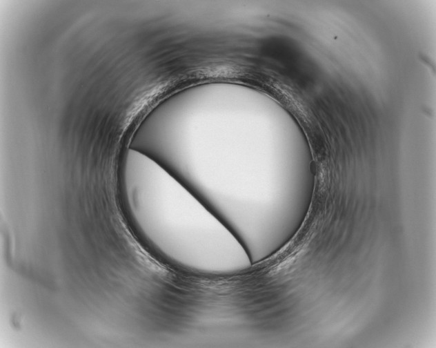 X0000094200725200710260912