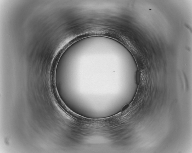 X0000094200726200710260912