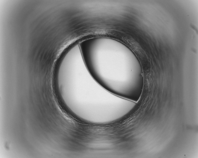 X0000094200728200710260912