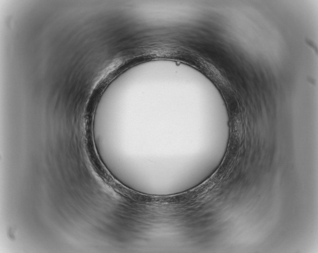 X0000094200730200710260912