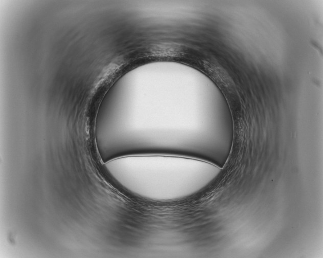 X0000094200731200710260912