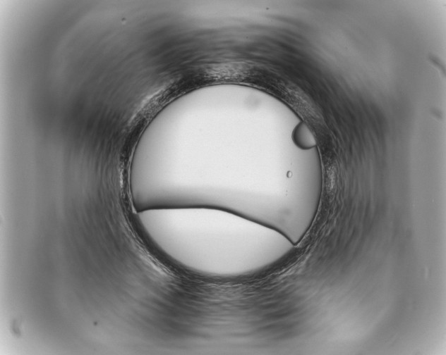 X0000094200733200710260912