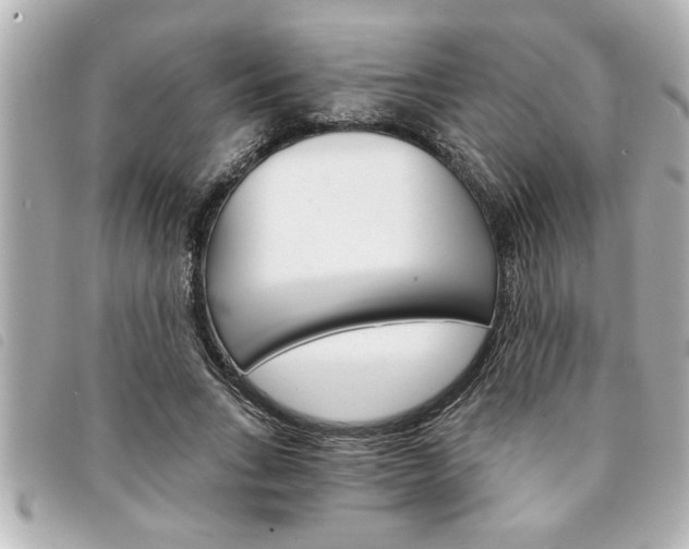 X0000094200735200710260912
