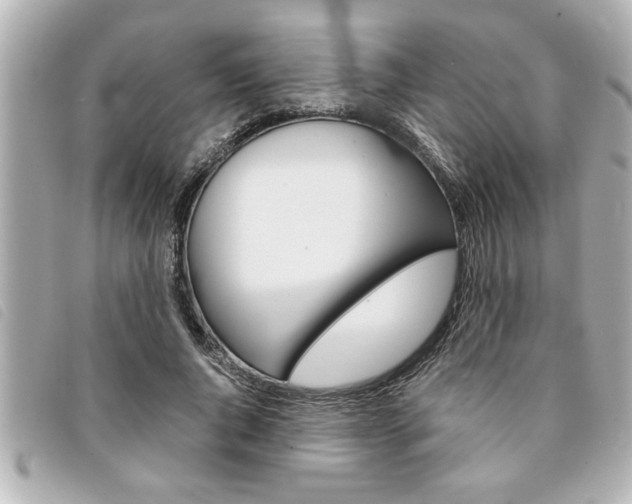 X0000094200736200710260912