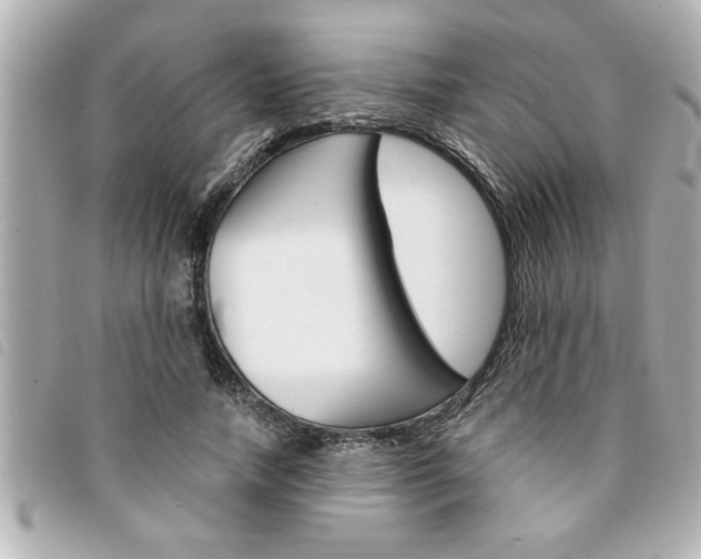 X0000094200738200710260912
