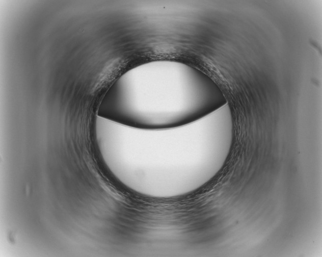 X0000094200742200710260912