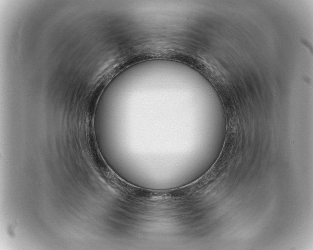 X0000094200744200710260912