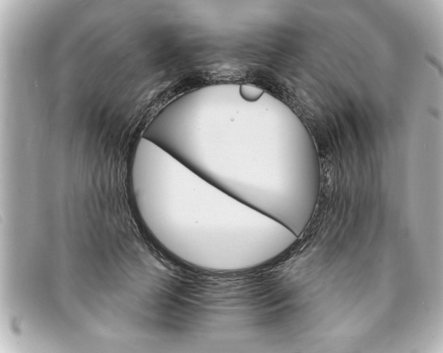 X0000094200745200710260912