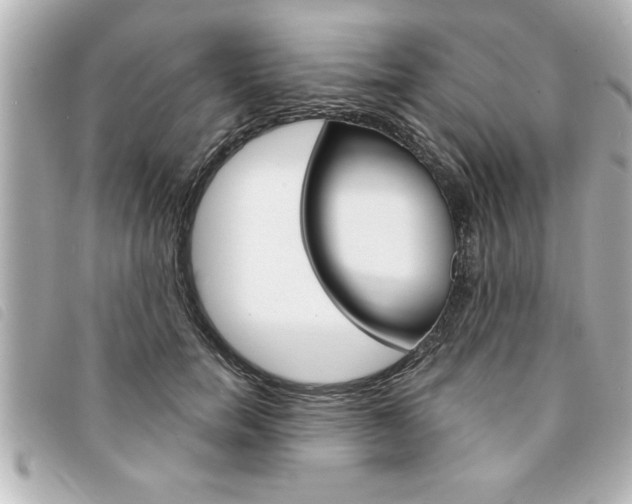 X0000094200750200710260912