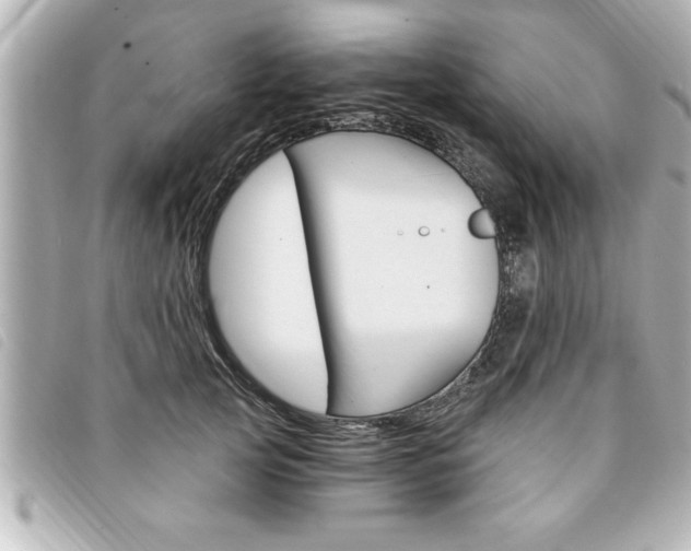 X0000094200753200710260912