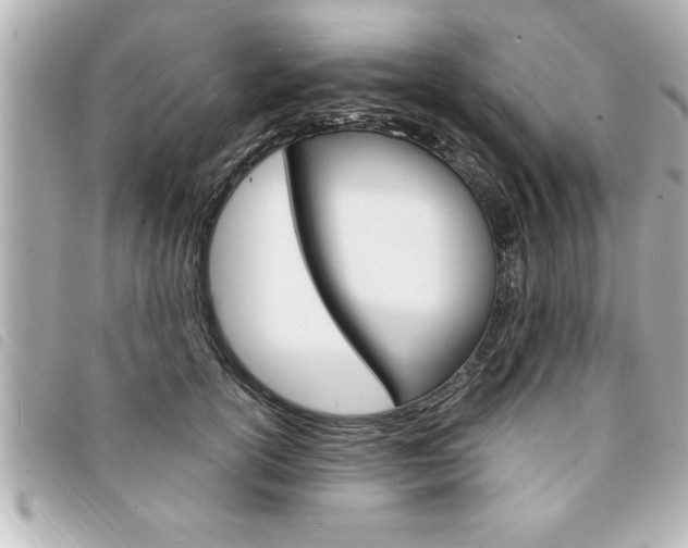 X0000094200754200710260912