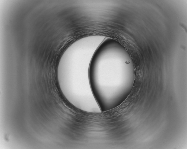 X0000094200756200710260912