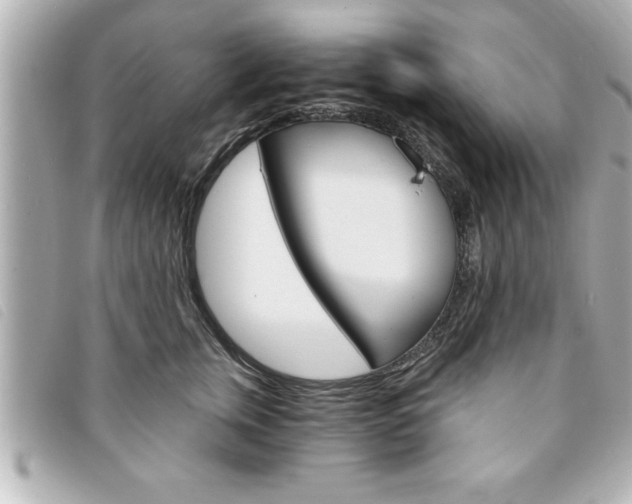 X0000094200759200710260912