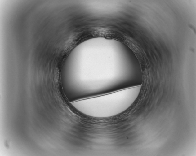 X0000094200760200710260912