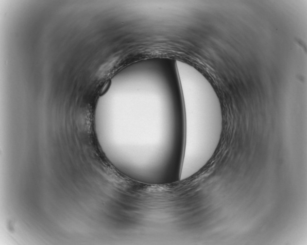 X0000094200762200710260912