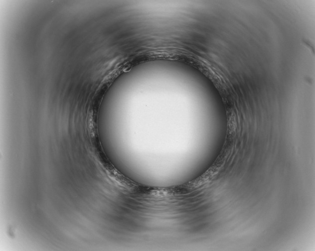 X0000094200764200710260912