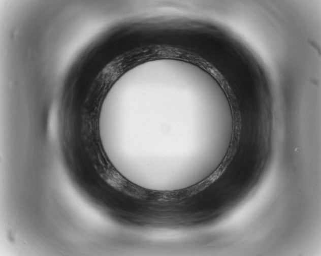 X0000094200765200710260912