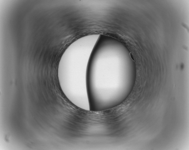 X0000094200768200710260912