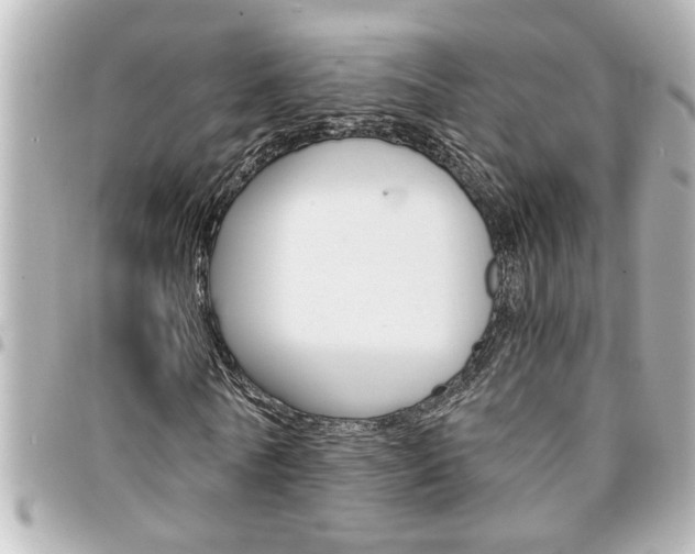 X0000094200770200710260912