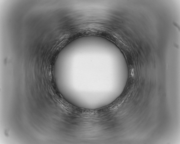X0000094200771200710260912