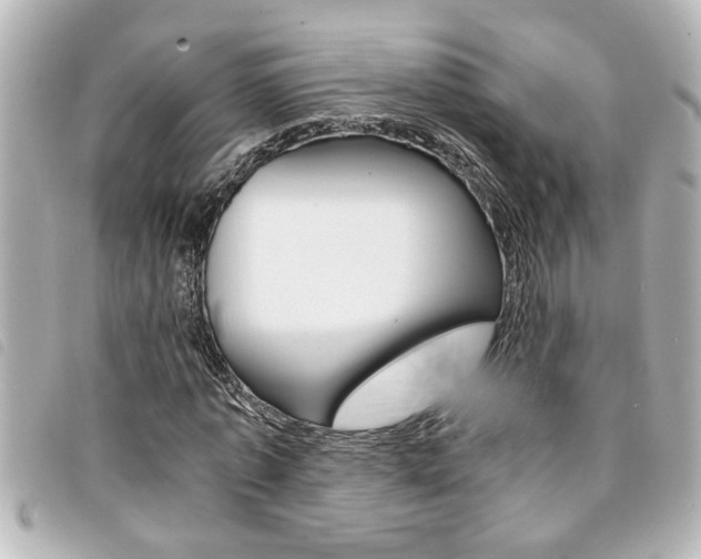 X0000094200773200710260912