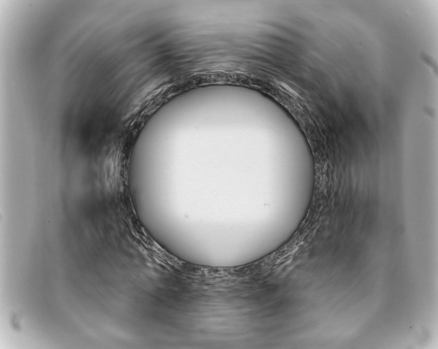 X0000094200774200710260912