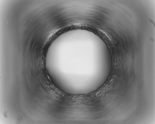 X0000094200776200710260912