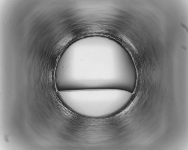 X0000094200777200710260912