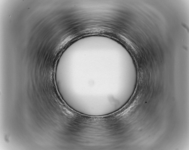 X0000094200778200710260912