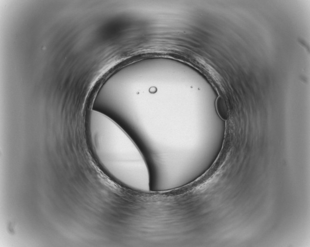X0000094200779200710260912