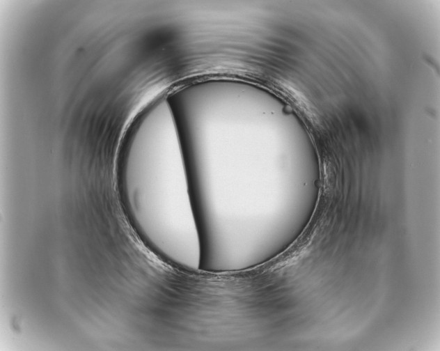 X0000094200780200710260912