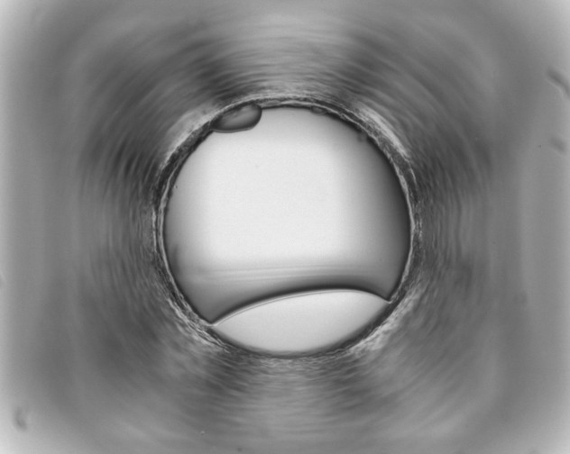 X0000094200781200710260912