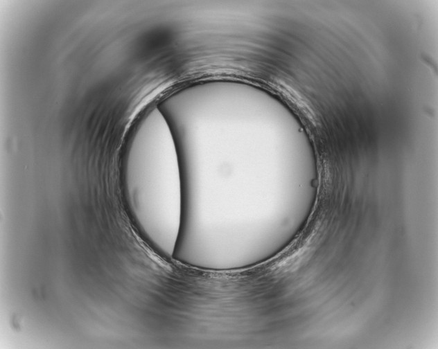 X0000094200782200710260912