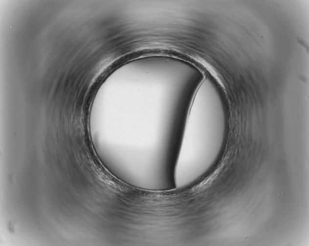 X0000094200783200710260911