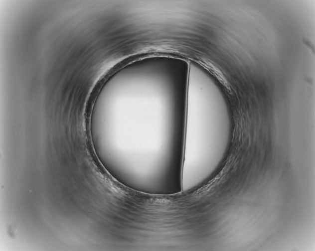 X0000094200784200710260911