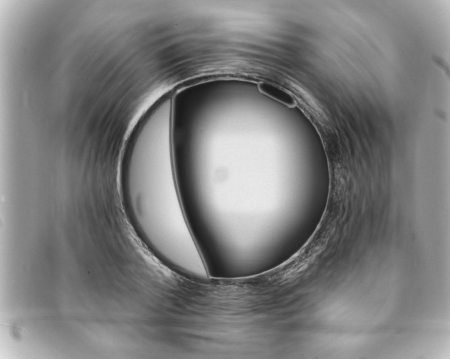 X0000094200788200710260911