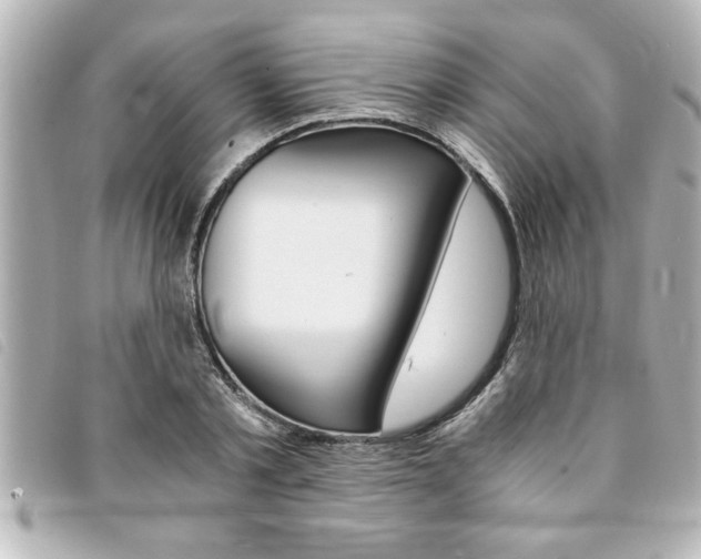 X0000094200789200710260911