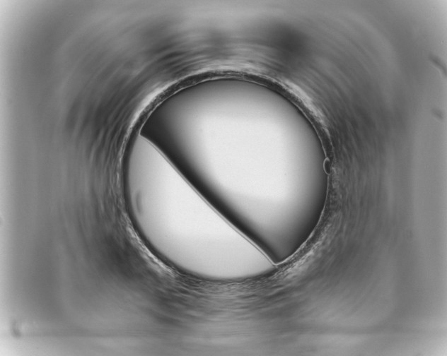 X0000094200791200710260911