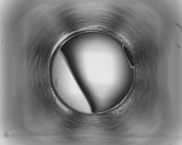 X0000094200792200710260911