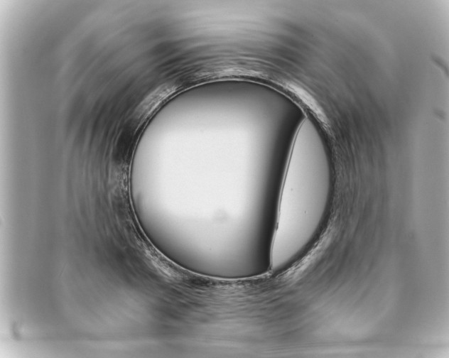 X0000094200793200710260911