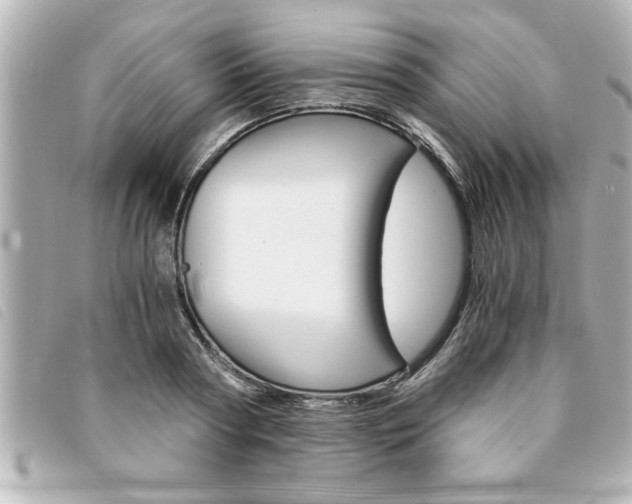X0000094200794200710260911