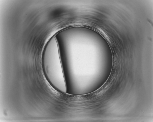 X0000094200795200710260911