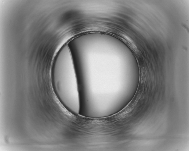 X0000094200796200710260911