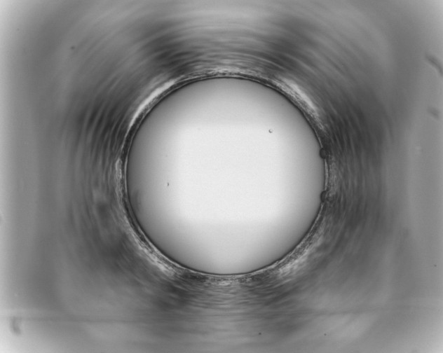 X0000094200798200710260911