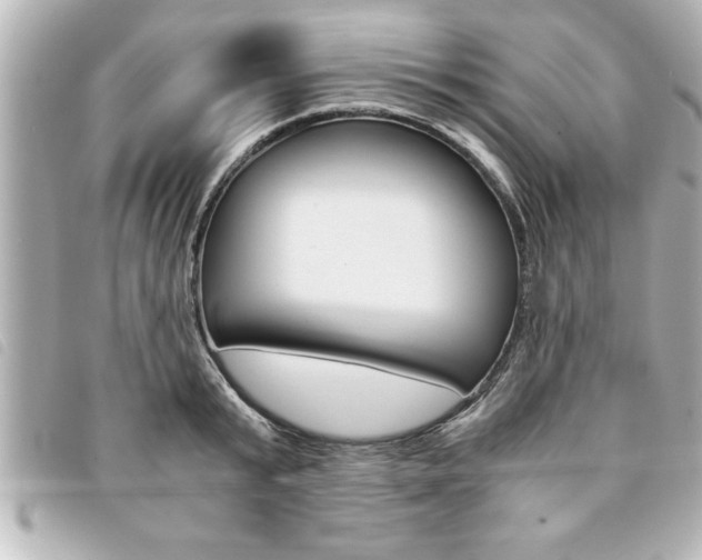 X0000094200799200710260911